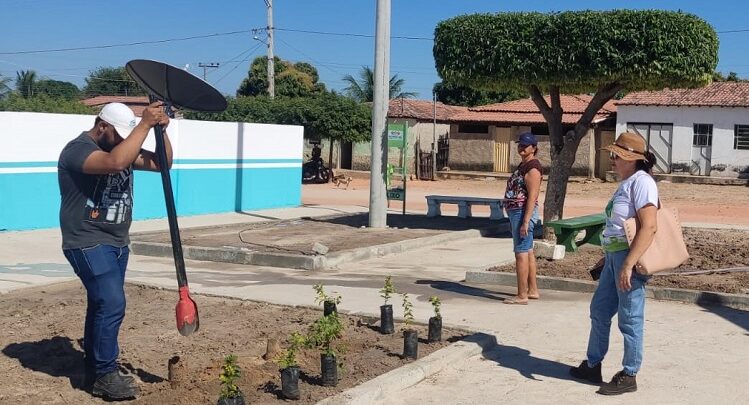 Prefeitura de Sento Sé realiza paisagismo e plantio de mudas em praça